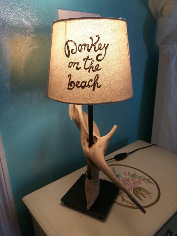 Donkey On The Beach Cobbs Cross Екстер'єр фото